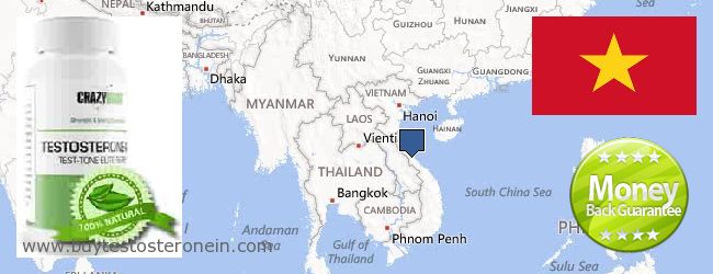Gdzie kupić Testosterone w Internecie Vietnam